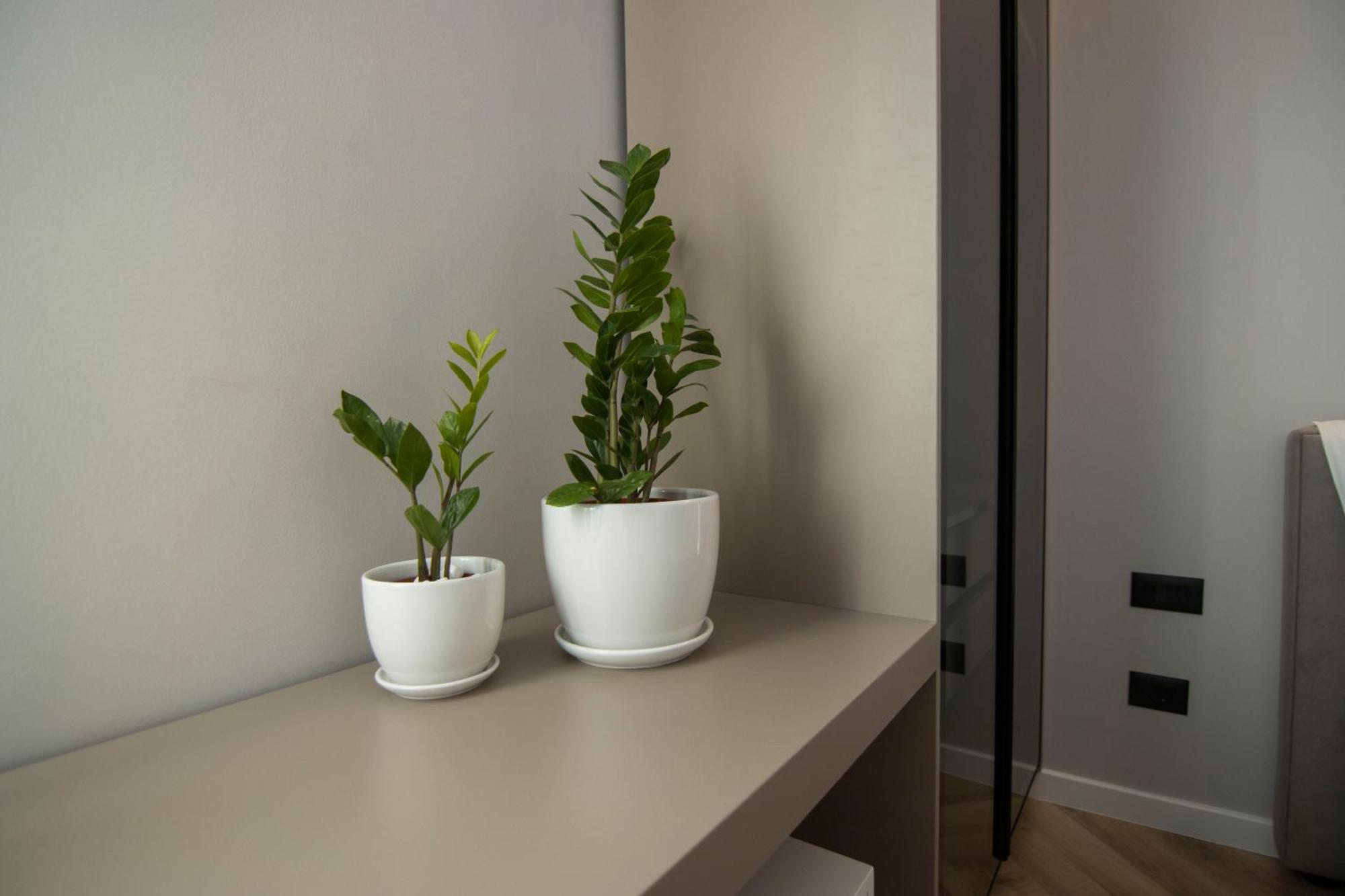 Mina Luxury Rooms 地拉那 外观 照片
